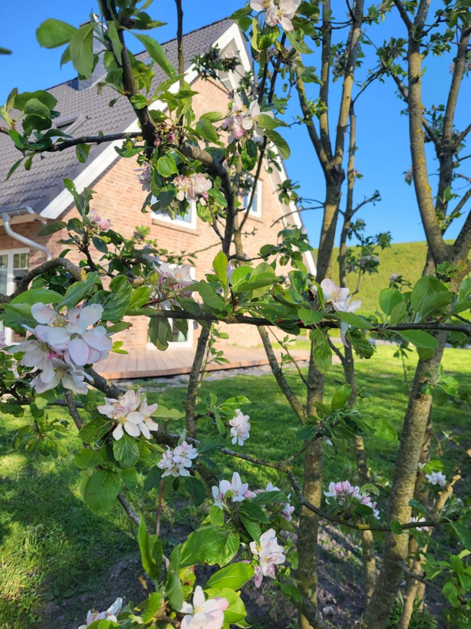 Appartamento Friesenperle Tönning Esterno foto